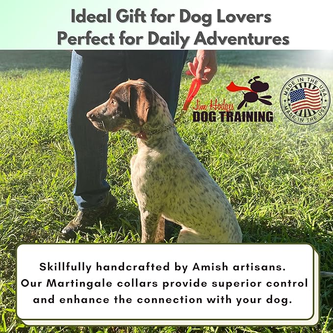 Martingale Collar for Dogs, Biothane, Stainless Steel Hardware, No Pull, Made in The USA, Professional Grade, XS, Brown