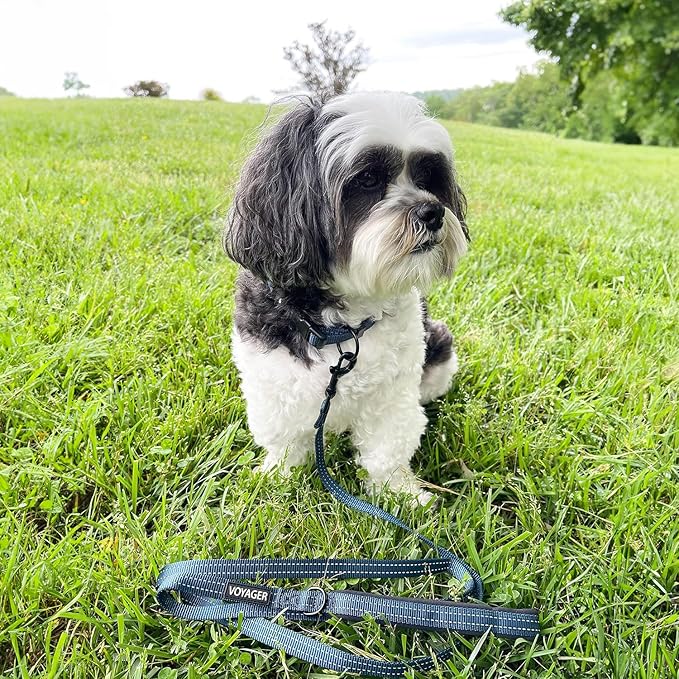 Voyager Reflective Dog Leash Collar Set with Neoprene Handle Supports Small, Medium, and Large Breed Puppies, Cute and Heavy Duty for Walking, Running, and Training - Blue, S