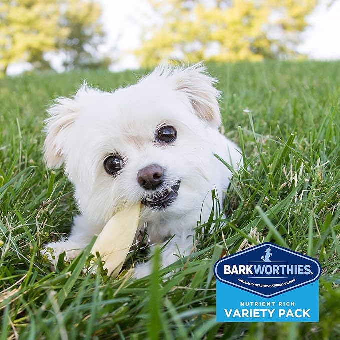 Barkworthies Healthy Dog Treats & Chews Puppy Dog Variety Pack (5 Chews) - Protein-Rich, All-Natural, Easily Digestible, Rawhide Alternative - Promotes Dental Health - Great Gift for All Dogs