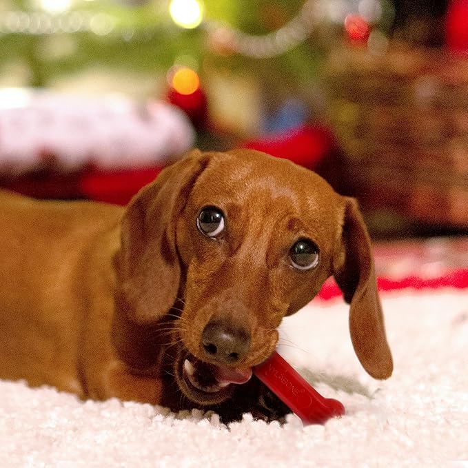 Nylabone Teething Puppy Chew Starter Kit, Two Puppy Chew Toys and Puppy Chew Treat, Puppy Supplies, Bacon & Chicken Flavor, Small/Regular (3 Count)