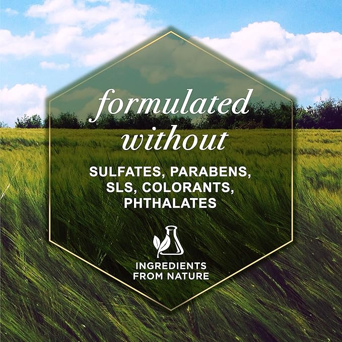 Burt's Bees for Pets Refreshing Spray for Dogs with Milk and Honey, 98.2% Natural Origin Formulas, Waterless Dog Shampoo - Gentle Dry Shampoo for Dogs, Best Dog Shampoo, 8 oz