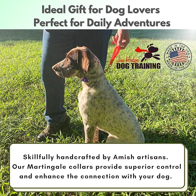 Martingale Collar for Dogs, Biothane, Stainless Steel Hardware, No Pull, Made in The USA, Professional Grade, Extra Large, Purple