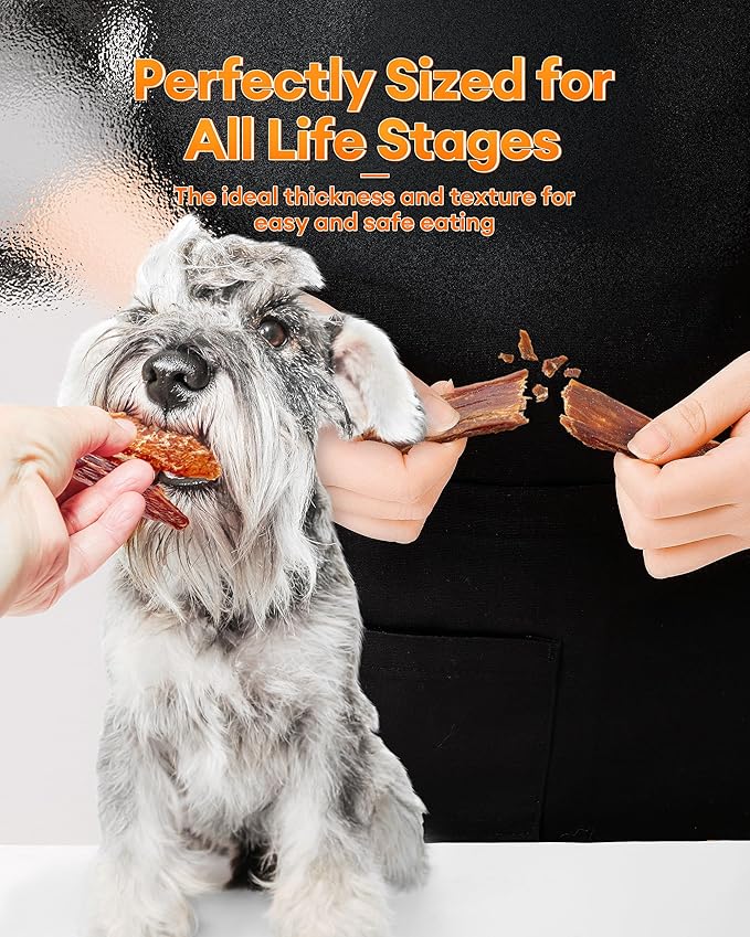 Chicken & Duck Jerky Dog Treats - Natural Dog Treats, 17.6 oz Sealed Box, 12-Hour Slow-Dried for Maximum Flavor and Nutrients, Preservative-Free, Perfect for Training & Healthy Snacking