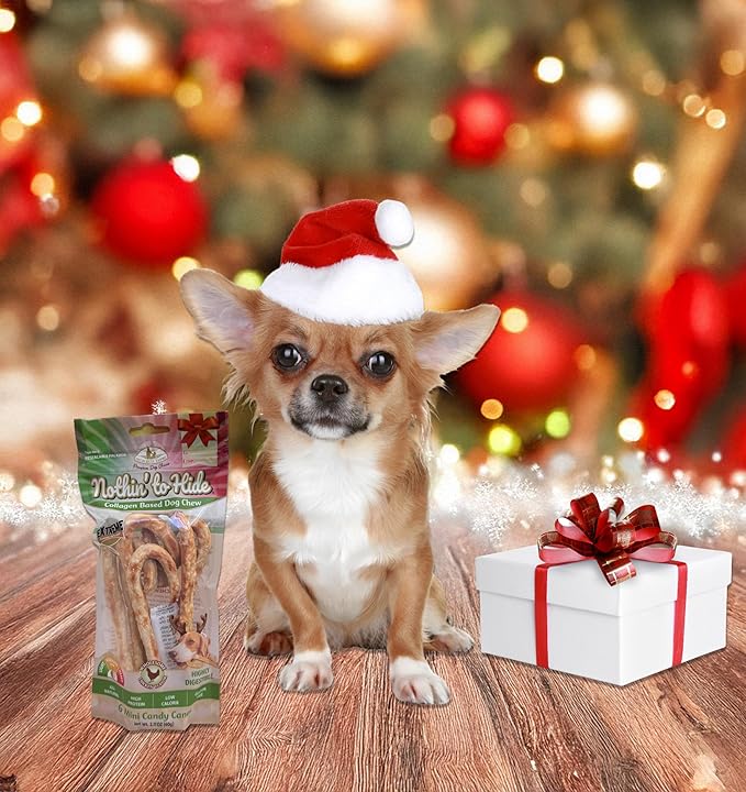 Fieldcrest Farms Nothin' to Hide Mini Holiday Candy Cane Chicken Flavor Dog Chews, Rawhide-Free, Easily Digestible, Long-Lasting, All-Natural Treats for Moderate Chewers up to 15lbs, 6-Ct