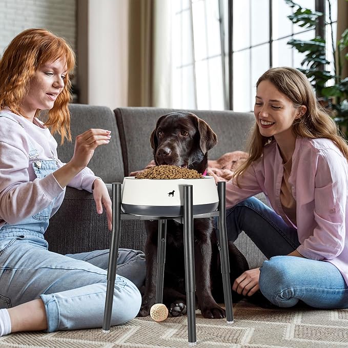 Raised Single Dog Bowl Stand, Adjustable 12-16" Tall, Elevated Dog Food Bowl Stand for 8-12" Wide Bowls, Dog Bowl Holder for Medium Large - Metal Dog Bowl Stand Only - Black