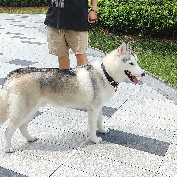 Leather Dog Collar,Heavy Duty Dog Collar Leather,with Strong Metal Buckle Genuine Leather Collar for Dogs,for Small Dog,Medium Dog,Large Dog and Extra Large Dog (XL: 1.4" Width for 19.7"-25.6" Neck)