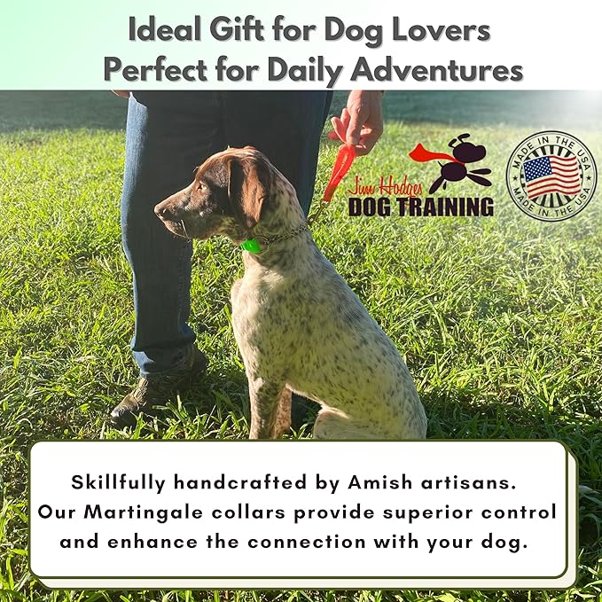 Martingale Collar for Dogs, Biothane, Stainless Steel Hardware, No Pull, Made in The USA, Professional Grade, XS, Green