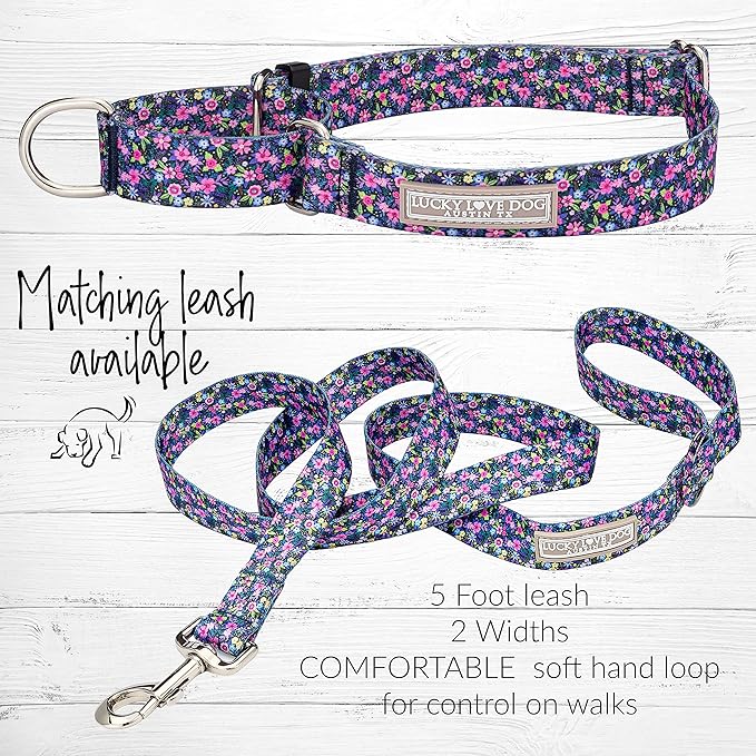 Lucky Love Dog Martingale Collar, Premium No Slip Collar for Small Dogs, Flower Martingale Collar for Girl Dogs, Great for Whippets, Greyhounds, and More (Primrose, Small)