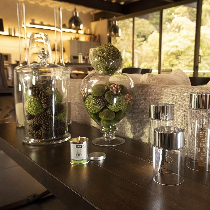 Art & Pets Pet Odor Eliminator Candle Appx 72 Hrs Burning Time | Natural Scented Soy Wax Candle | Dog Smell Eliminator Candle | Cat and Dog Odor Eliminator Candle | Pet Candle (Lime Lemon)