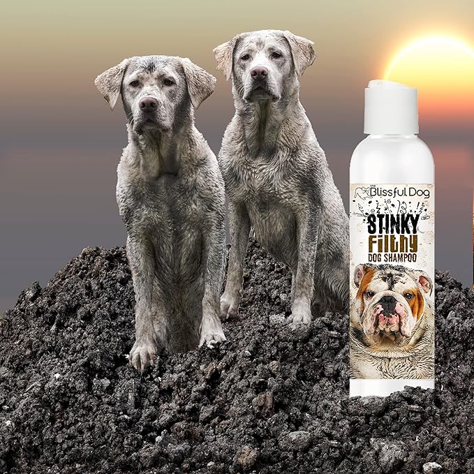 The Blissful Dog Stinky Filthy Dog Shampoo, 8-Ounce