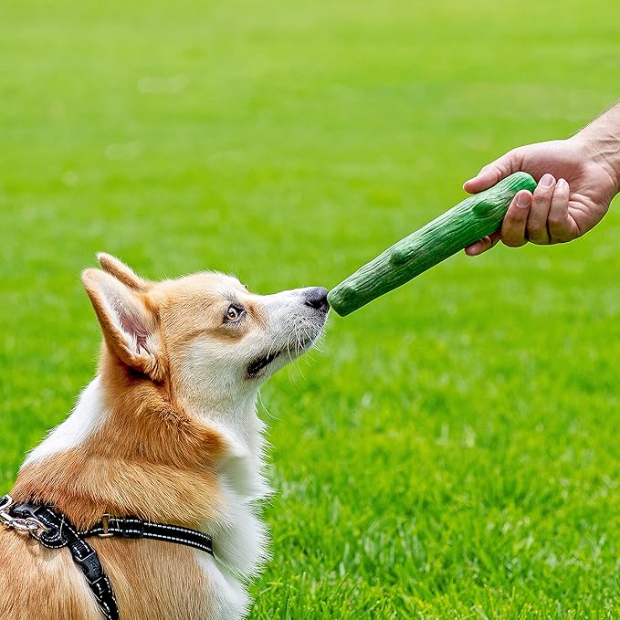 Petstages Dogwood Wood Durable Dog Chew Toys, Real Wood & Mint, 2-Pack, Large