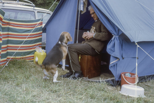 ☀️⛺ Perfect Outdoor Escape for Your Big Pup! ⛺☀️