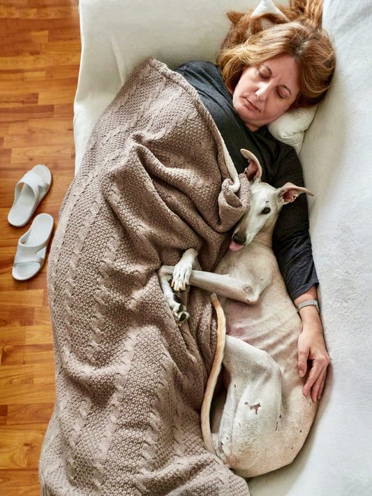 Why My Dog Suddenly Loves His Crate 🐶💤