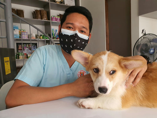 Dog Hair Everywhere?My Lazy-Saver Grooming Find 🛁🐕🧹