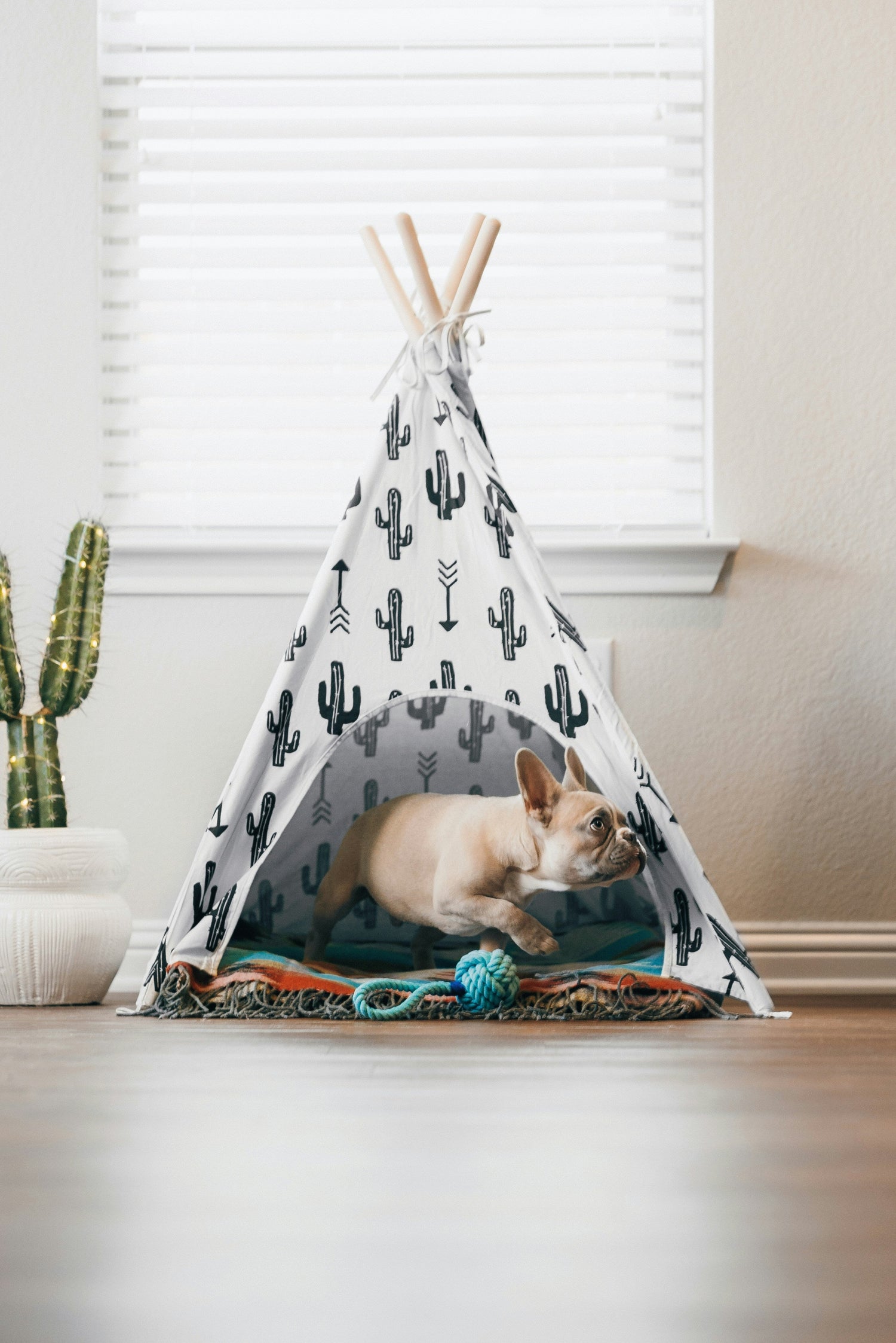 ★Dog Crates, Houses & Pens