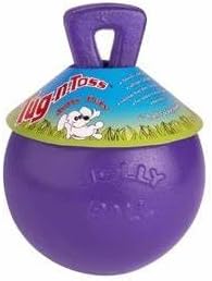 Jolly Pets Tug-n-Toss Heavy Duty Dog Toy Ball with Handle, 6 Inches/Medium, Purple