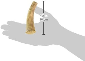 Nylabone Healthy Edibles WILD Antler Natural Long Lasting Venison Flavor Dog Chew Treats Medium/Wolf (2 Count)