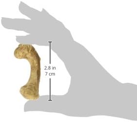 Nylabone Healthy Edibles WILD Natural Long-Lasting Turkey Flavor Bone Chew Treats for Dogs, Small/Regular (4 Count)