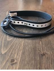 Sparky Pet Co - ECollar Replacement Strap - Bungee Dog Collar - Waterproof - Adjustable - Secure Nexus Wheel Lock - for Electronic Training & Invisible Fence Systems - 3/4" (Green)