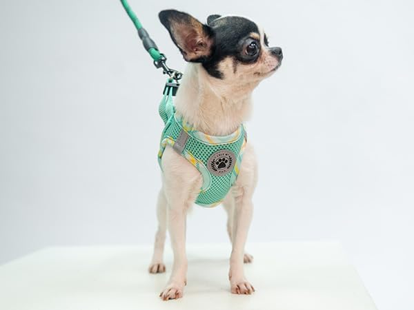 BEAUTYZOO Dog Harness and Leash Set for Small Medium Dogs,No Pull Step-in Harness for Puppy S M Sized Dogs and Cats,Air Mesh Adjustable Breathable Soft No Chock Escape Proof Vest Harnesses,Green XS