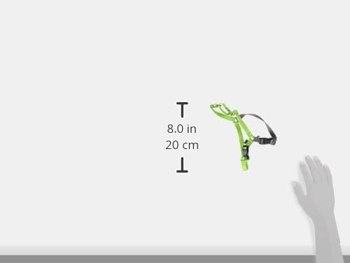 PetSafe Easy Walk No-Pull Dog Harness - The Ultimate Harness to Help Stop Pulling - Take Control & Teach Better Leash Manners - Helps Prevent Pets Pulling on Walks, Small, Apple Green/Gray