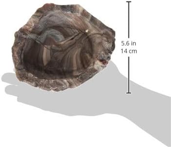 Fluker's Repta Bowl, Food and Water Bowl for Reptiles and Small Animals, Medium 6" (Pack of 2)