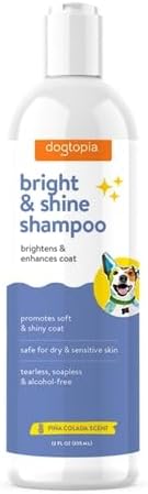 Bright and Shine Shampoo – 12oz Piña Colada Scent | Restoring Shampoo Rich with Soothing Colloidal Oatmeal | Tearless and Alcohol-Free for Everyday Use