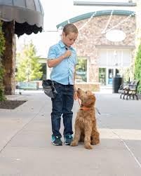 Replacement Strap for Dogtra Collars - 3/4" Wide Ultra-Durable Dog E-Collar Replacement for Training, Bark, Shock, Electric, and GPS Collars - 28" Adjustable Length Solid Oragne