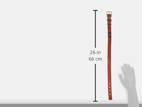 Hamilton Double Thick Nylon Deluxe Dog Collar with Brushed Hardware Finish, 1-Inch by 26-Inch, Red Brick