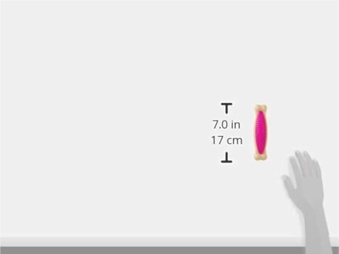 Hartz Chew 'n Clean Tuff Bone Bacon Scented Dental Dog Chew Toy - Large