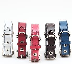 Genuine Leather Dog Collars with Stainless Steel Buckle and Double D Rings– Unbreakable! (21"-24", Tan)