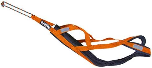 Neewa Pro Sled Dog Harness (Orange, Medium (Neck 17 Chest 29 Back 20))