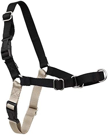PetSafe Easy Walk No-Pull Dog Harness - The Ultimate Harness to Help Stop Pulling - Take Control & Teach Better Leash Manners - Helps Prevent Pets Pulling on Walks, Large, Black/Silver