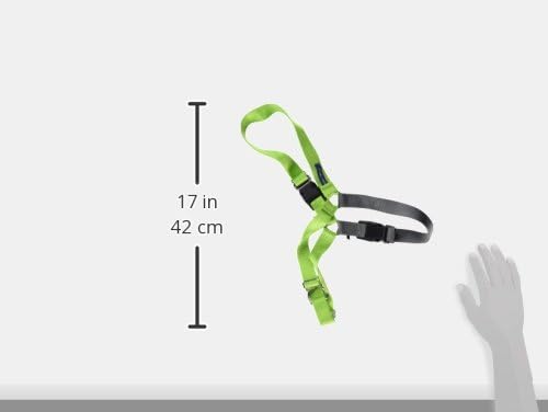 PetSafe Easy Walk No-Pull Dog Harness - The Ultimate Harness to Help Stop Pulling - Take Control & Teach Better Leash Manners - Helps Prevent Pets Pulling on Walks, Large, Apple Green/Gray