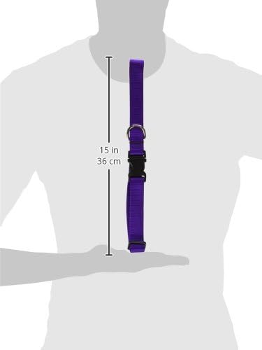 LupinePet Basics 1" Purple 25-31" Adjustable Collar for Extra Large Dogs