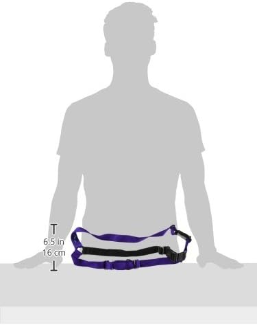 PetSafe Easy Walk No-Pull Dog Harness - The Ultimate Harness to Help Stop Pulling - Take Control & Teach Better Leash Manners - Helps Prevent Pets Pulling on Walks, Large, Deep Purple/Black