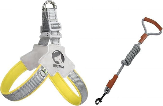 Pet Dog Cat Harness, Pet Harness with Leash Set, Adjustable Puppy Harness Comfortable Reflective Easy Control Dog with Leather Leash, No-Pull No Choke Pet Harness for Training Walking