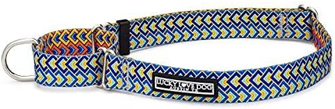 Lucky Love Dog Martingale Dog Collar - Adjustable, No-Slip, Durable, & Soft Webbing Dog Collar for Male and Female Dogs Ideal for Training & Walking - Stylish Murphy Pattern, Medium Size
