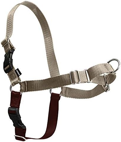 PetSafe Easy Walk No-Pull Dog Harness - The Ultimate Harness to Help Stop Pulling - Take Control & Teach Better Leash Manners - Helps Prevent Pets Pulling on Walks, Large, Fawn/Brown