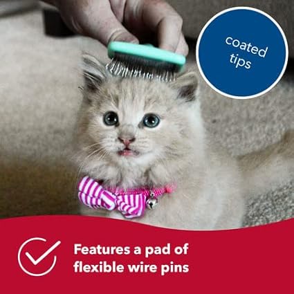 Coastal Pet Li'l Pals - Kitten Slicker Brush with Coated Tips