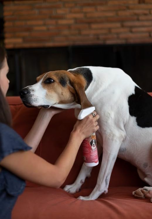 Bio-Groom Flea & Tick Dog Shampoo – Flea and Tick Prevention for Dogs, Cat Flea Treatment, Cruelty-Free, Made in USA, Natural Tick Repellent, Protein-Lanolin Shampoo – 32 fl oz 1-Pack