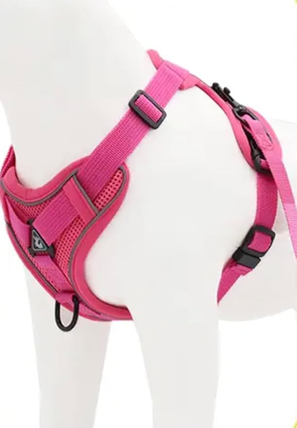 No-Pull Dog Harness, Reflective Adjustable Dog Vest Harness, Escape Proof, for Small Medium Large Dogs and Cats - Adjustable Buckle Pet Vest, Solid, S-XL, with Matching Leash (Pink, Small)