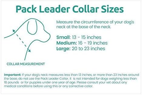 Cesar Millan Pack Leader Collar™ - Training Collar of The Dog Whisperer (Small, Grey)