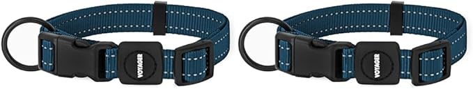 Best Pet Supplies Reflective Dog Collar with Adjustable Length, Heavy-Duty Buckle, and Strong Leash D-Ring, Training, Walking, Jogging Accessory for Small, Medium, and Large Breeds - Blue, M