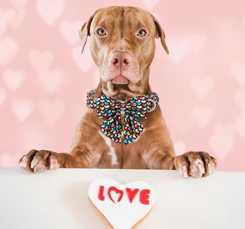 Unique Style Paws Valentine's Day Dog Collar with Bow Colorful Heart Love Dog Collars for Small Medium Large Dog New (S, Heart Bowtie)
