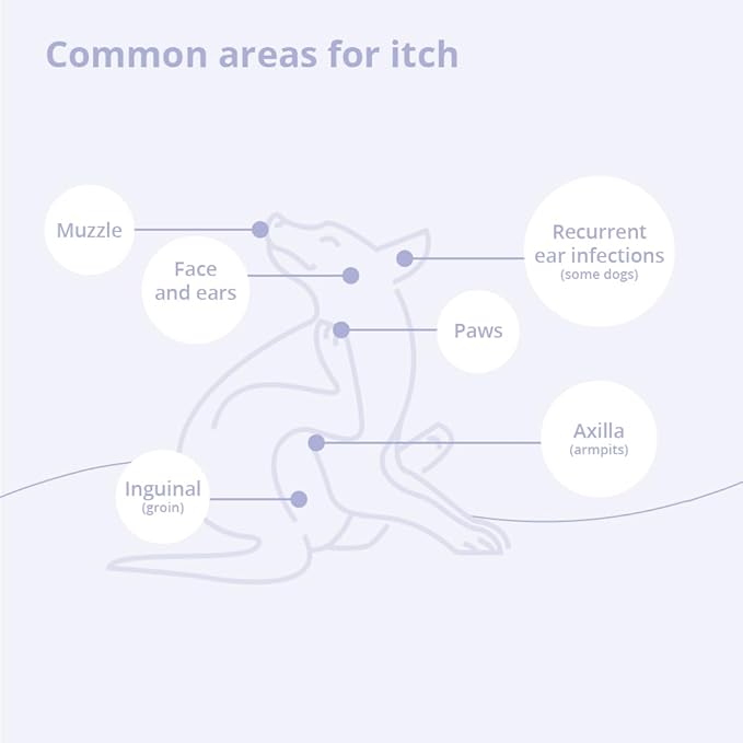 4 Shampoo for Dogs, Cats and Horses, Gallon