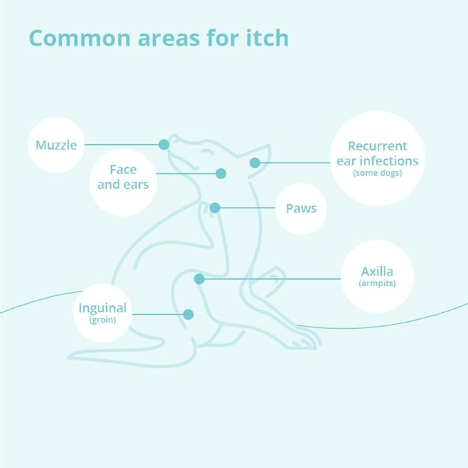 Shampoo for Dogs, Cats and Horses, Gallon