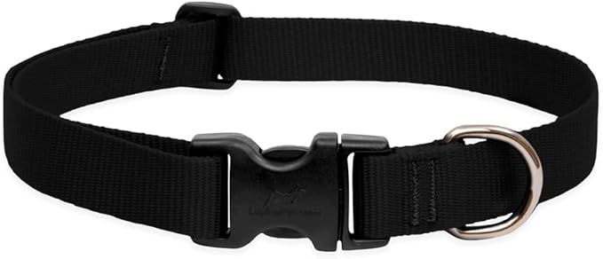 LupinePet Basics 1" Black 12-20" Adjustable Collar for Medium and Larger Dogs