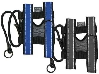 Cesar Millan Pack Leader Collar™ - Training Collar of The Dog Whisperer (Small, Blue)