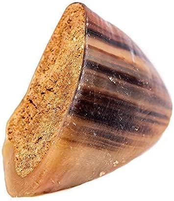 Filled Cow Hooves for Dogs, Delicious Peanut Butter Flavor, Stuffed Natural Beef Hoof Dog Chews, Tasty Treats for Dog, Made from Premium Brazilian Cattle, Pack of 10 Count